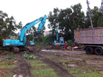 Cutting of Trees and Site Clearance